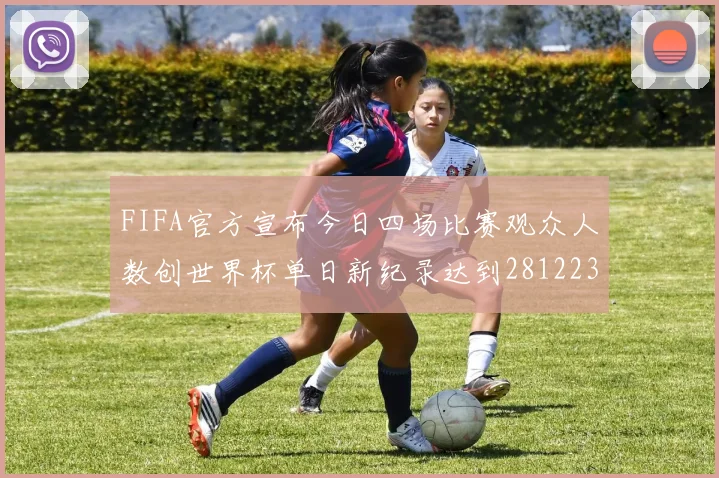 FIFA官方宣布今日四场比赛观众人数创世界杯单日新纪录达到281223人